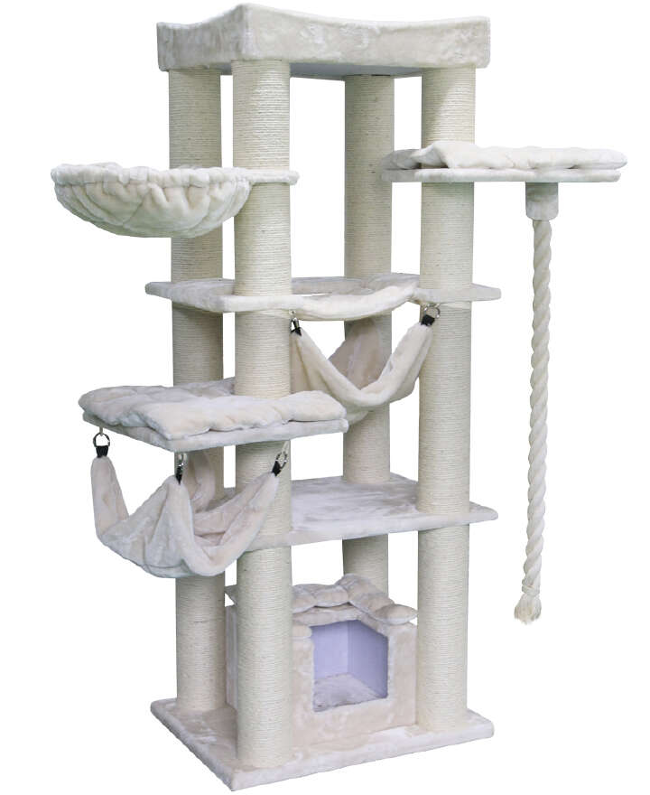 Nobby Kratzbaum Rubi